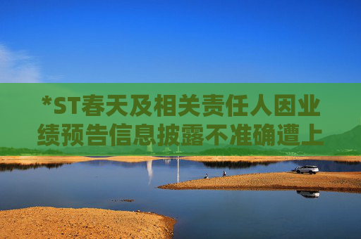 *ST春天及相关责任人因业绩预告信息披露不准确遭上交所公开谴责