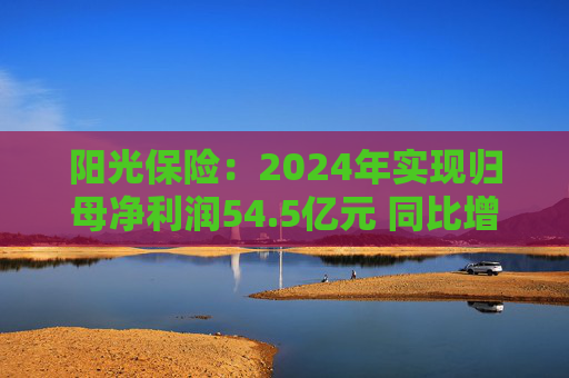 阳光保险：2024年实现归母净利润54.5亿元 同比增长45.8%