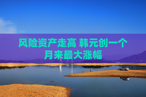 风险资产走高 韩元创一个月来最大涨幅