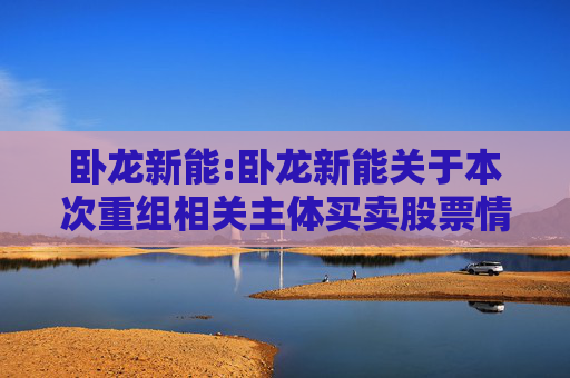 卧龙新能:卧龙新能关于本次重组相关主体买卖股票情况的自查报告的公告