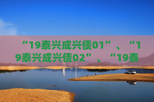 “19泰兴成兴债01”、“19泰兴成兴债02”、“19泰兴成兴债03”2024年度发行人履约情况及偿债能力分析报告