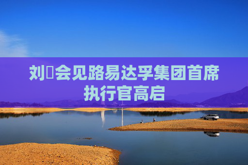 刘珺会见路易达孚集团首席执行官高启