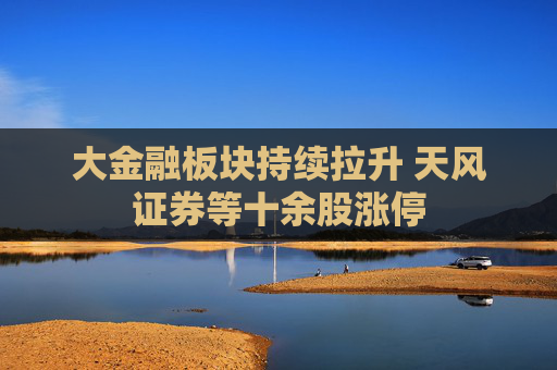 大金融板块持续拉升 天风证券等十余股涨停