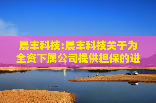 晨丰科技:晨丰科技关于为全资下属公司提供担保的进展公告