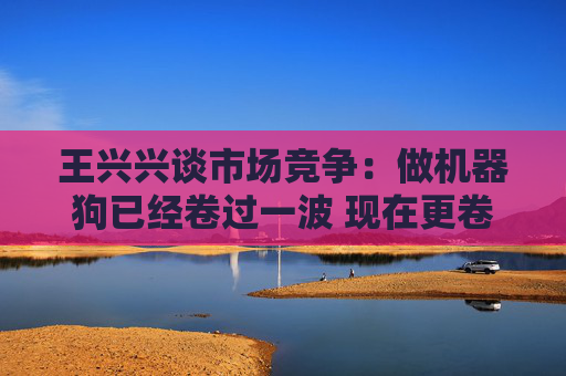 王兴兴谈市场竞争：做机器狗已经卷过一波 现在更卷但底子更厚
