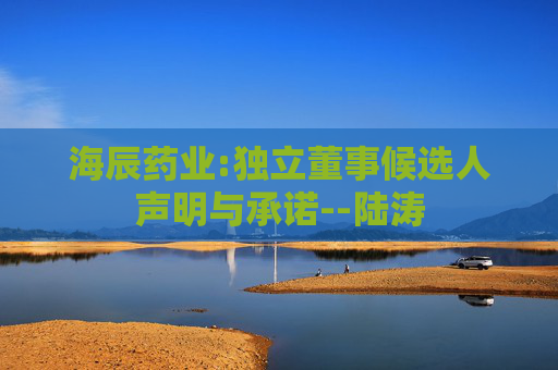 海辰药业:独立董事候选人声明与承诺--陆涛