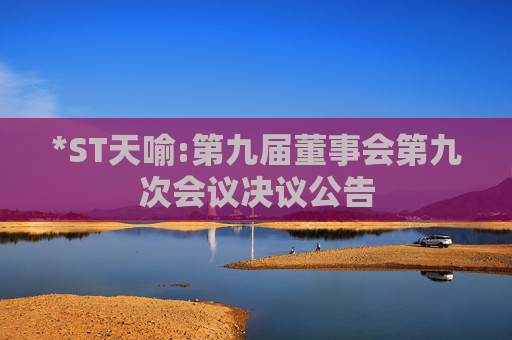*ST天喻:第九届董事会第九次会议决议公告