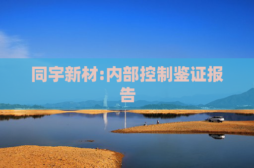 同宇新材:内部控制鉴证报告