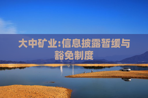 大中矿业:信息披露暂缓与豁免制度