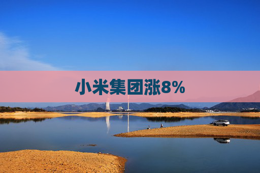 小米集团涨8%