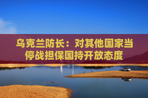 乌克兰防长：对其他国家当停战担保国持开放态度