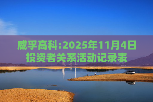 威孚高科:2025年11月4日投资者关系活动记录表