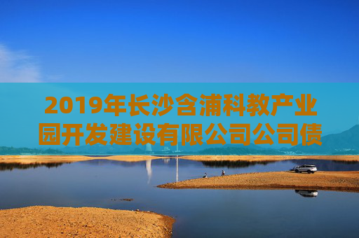 2019年长沙含浦科教产业园开发建设有限公司公司债券（品种一）2025年付息公告  第1张