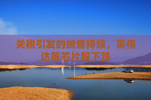 关税引发的抛售持续，英伟达等芯片股下跌  第1张
