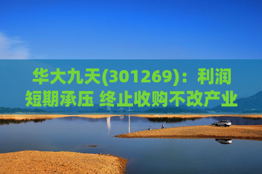 华大九天(301269)：利润短期承压 终止收购不改产业链整合潜质