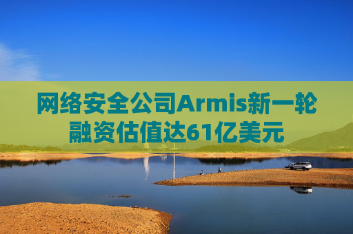 网络安全公司Armis新一轮融资估值达61亿美元