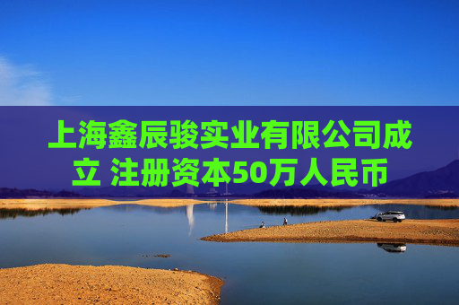 上海鑫辰骏实业有限公司成立 注册资本50万人民币
