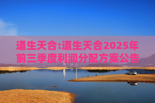 道生天合:道生天合2025年前三季度利润分配方案公告