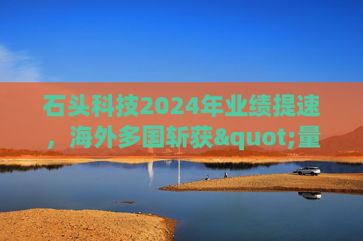 石头科技2024年业绩提速，海外多国斩获"量额"双料第一