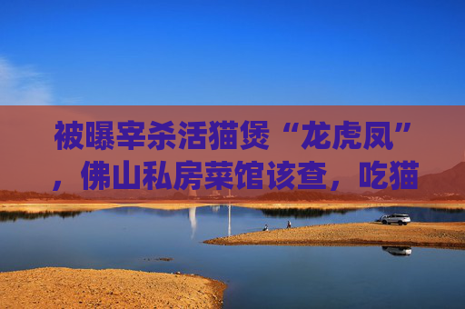 被曝宰杀活猫煲“龙虎凤”，佛山私房菜馆该查，吃猫狗的食俗也须反思 | 新京报微评