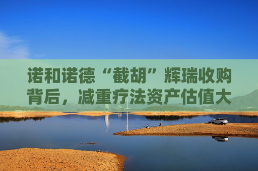 诺和诺德“截胡”辉瑞收购背后，减重疗法资产估值大爆发