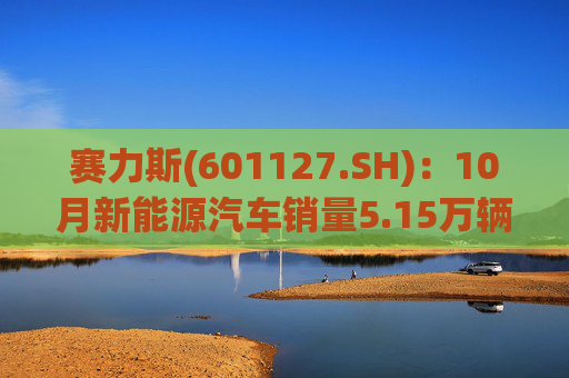 赛力斯(601127.SH)：10月新能源汽车销量5.15万辆 同比增长42.89%  第1张