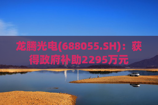 龙腾光电(688055.SH)：获得政府补助2295万元  第1张