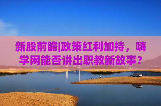 新股前瞻|政策红利加持，嗨学网能否讲出职教新故事？