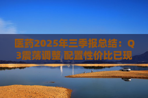 医药2025年三季报总结：Q3震荡调整 配置性价比已现  第1张