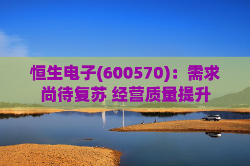 恒生电子(600570)：需求尚待复苏 经营质量提升