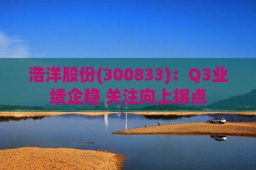 浩洋股份(300833)：Q3业绩企稳 关注向上拐点