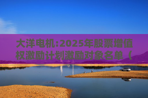 大洋电机:2025年股票增值权激励计划激励对象名单（调整后）