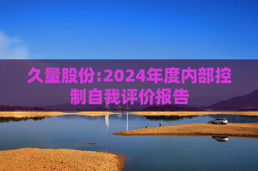 久量股份:2024年度内部控制自我评价报告