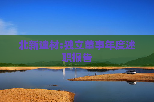 北新建材:独立董事年度述职报告