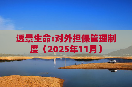 透景生命:对外担保管理制度（2025年11月）