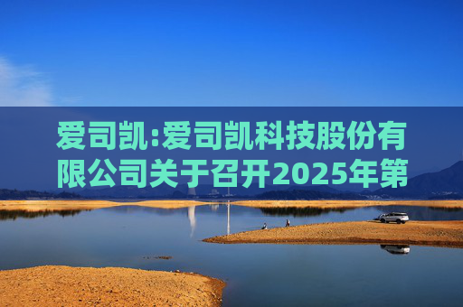 爱司凯:爱司凯科技股份有限公司关于召开2025年第一次临时股东大会的通知