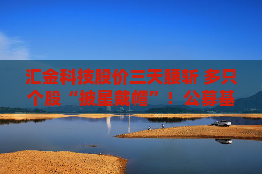 汇金科技股价三天腰斩 多只个股“披星戴帽”！公募基金如何“避雷”？  第1张