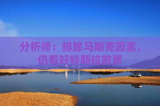 分析师：排除马斯克因素，仍看好特斯拉前景