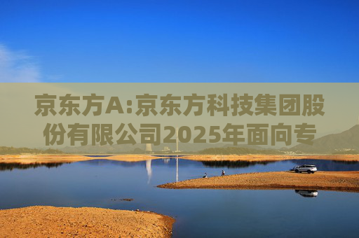 京东方A:京东方科技集团股份有限公司2025年面向专业投资者公开发行科技创新公司债券（第三期）票面利率公告