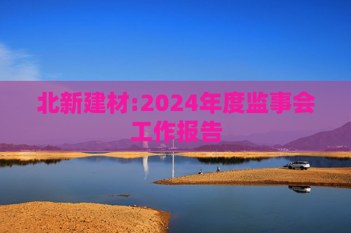 北新建材:2024年度监事会工作报告  第1张
