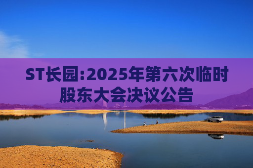 ST长园:2025年第六次临时股东大会决议公告