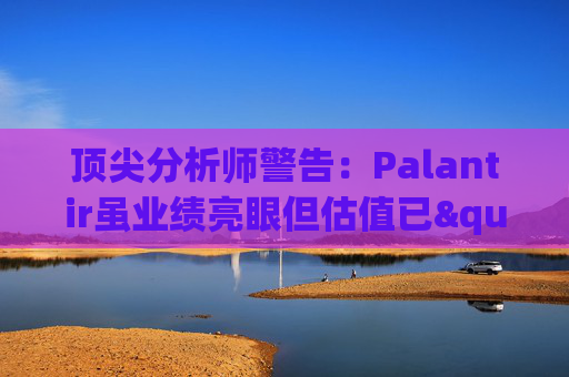 顶尖分析师警告：Palantir虽业绩亮眼但估值已"趋于完美"