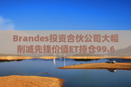 Brandes投资合伙公司大幅削减先锋价值ET持仓99.61%