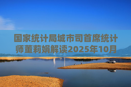 国家统计局城市司首席统计师董莉娟解读2025年10月份CPI和PPI数据