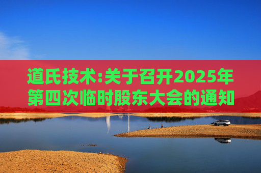 道氏技术:关于召开2025年第四次临时股东大会的通知