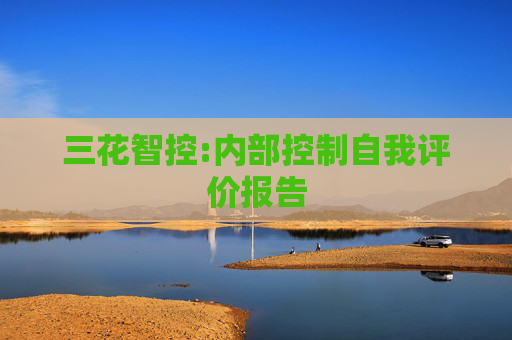 三花智控:内部控制自我评价报告  第1张