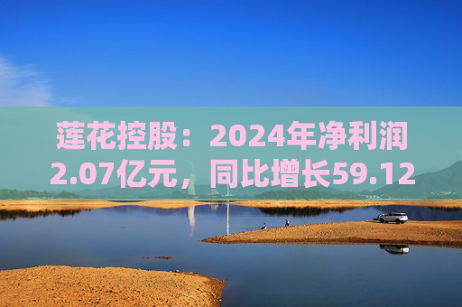 莲花控股：2024年净利润2.07亿元，同比增长59.12%