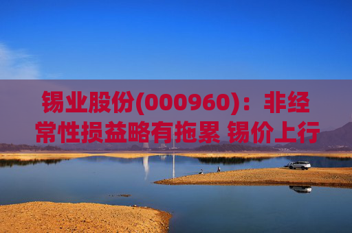 锡业股份(000960)：非经常性损益略有拖累 锡价上行带动扣非归母净利大幅提升