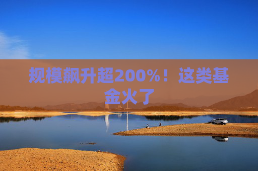 规模飙升超200%！这类基金火了  第1张