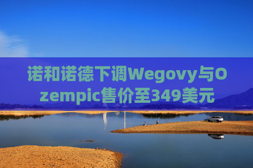 诺和诺德下调Wegovy与Ozempic售价至349美元